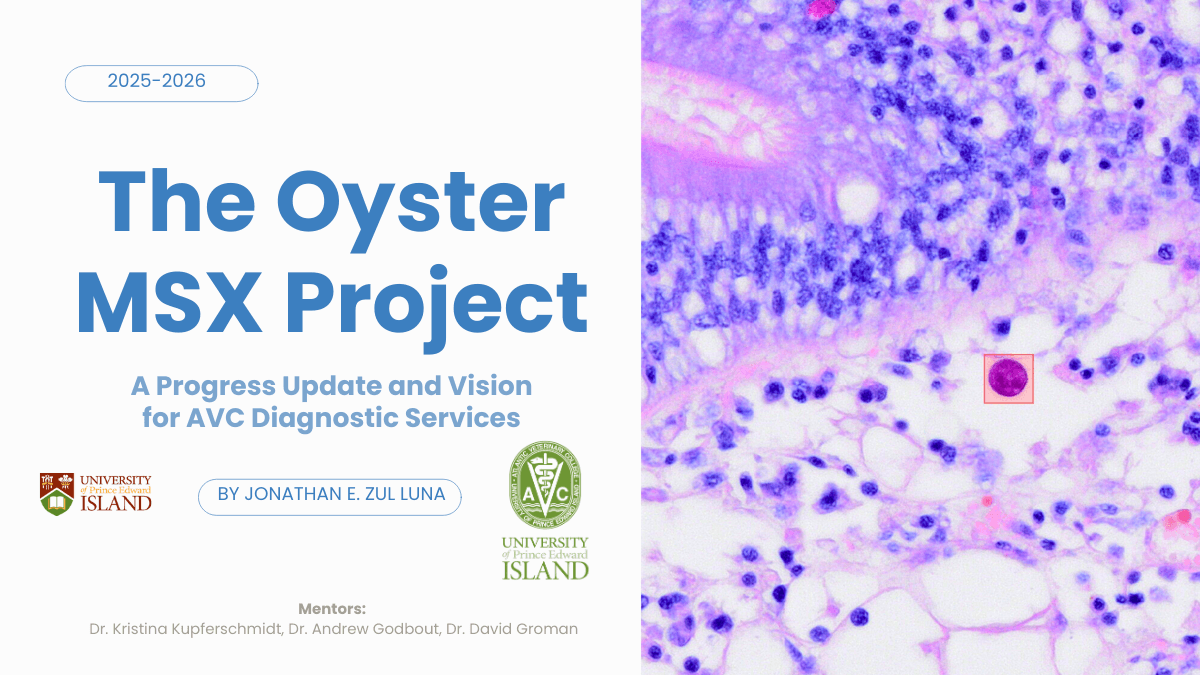 Oyster MSX Detection Pipeline